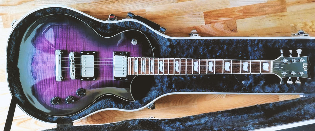 ESP LTD EC-256FM photo