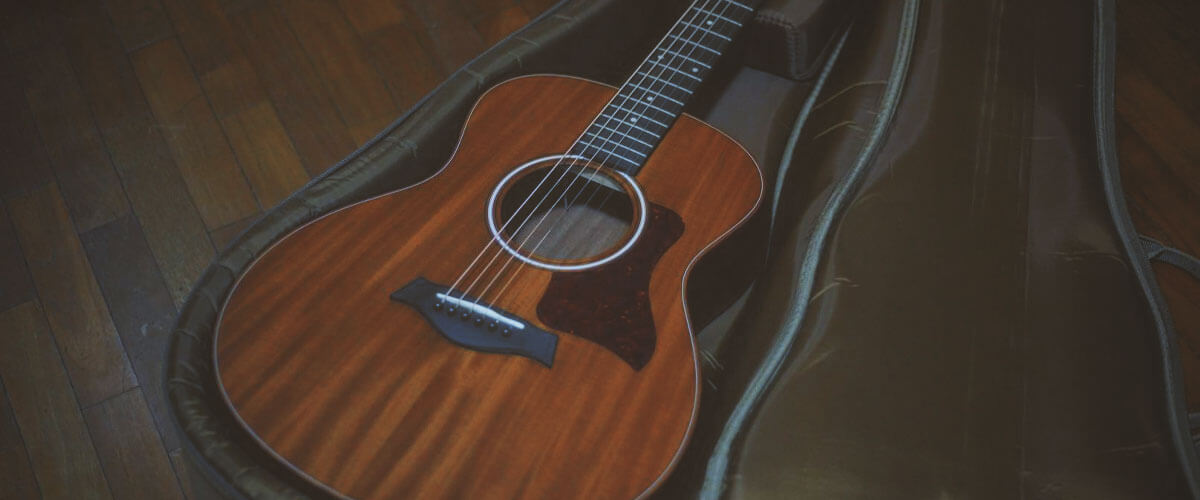 Taylor GS Mini Mahogany photo